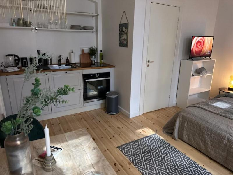 Fantastic Studio Apartment København Eksteriør bilde